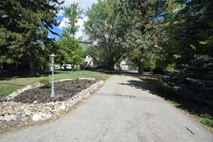 View of asphalt driveway with street lights