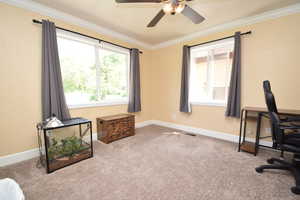 Carpeted office featuring ornamental molding, ceiling fan, and baseboards
