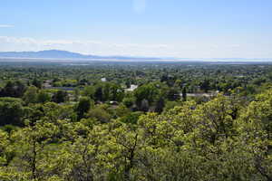Aerial view of property and surrounding area with a forest and mountains