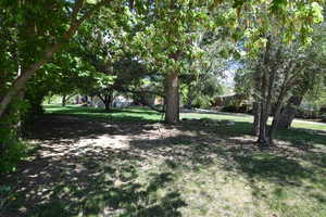 View of grassy yard