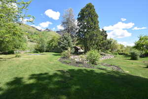 View of grassy yard with a mountain view