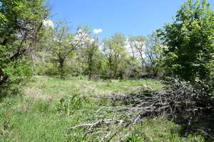 View of nature