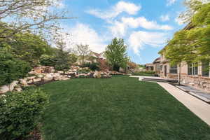 View of grassy yard
