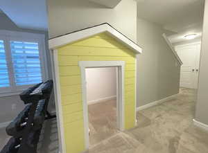 Basement Playhouse