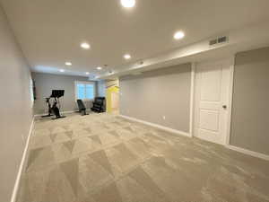 Large Basement Family Room