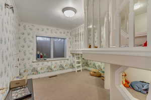 Bedroom, or childs play room located in the basement.