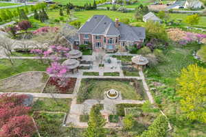 Backyard View