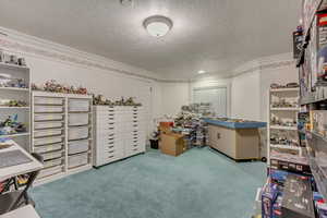 Basement Large Bedroom
