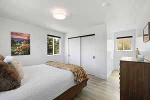Bedroom featuring multiple windows, light wood finished floors, baseboards, and a closet