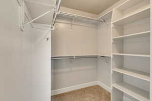 Walk in closet featuring carpet floors