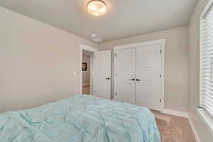 Bedroom featuring light colored carpet, multiple windows, baseboards, and a closet