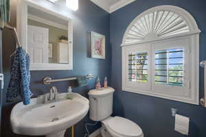 Main floor 1/2 bath featuring a sink, healthy amount of natural light, toilet, and crown molding