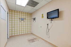 X-ray area