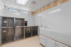 kennel room