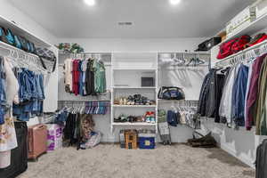 Spacious closet with carpet flooring