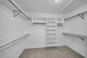 Master Suite walk in closet