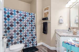 Bathroom featuring wood finished floors, vanity, baseboards, toilet, and curtained shower