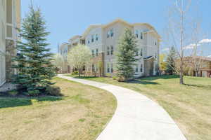 View of community with a lawn