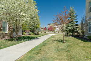 View of property's community with a yard