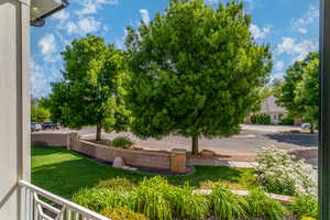 View of grassy yard