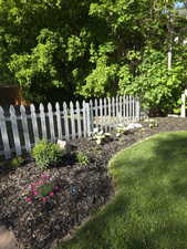 New Landscaping