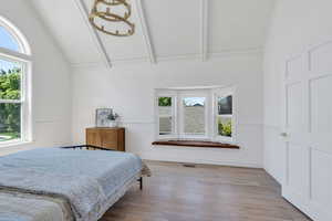 Primary bedroom featuring multiple windows and wood finished floors