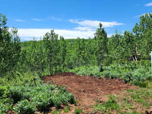 View of undeveloped land