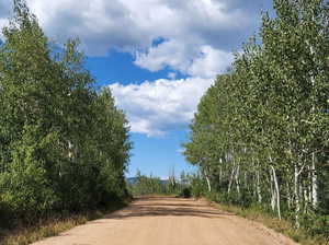View of dirt / gravel road