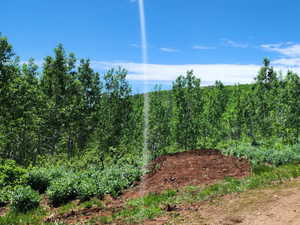 View of undeveloped land