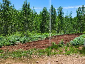 View of undeveloped land