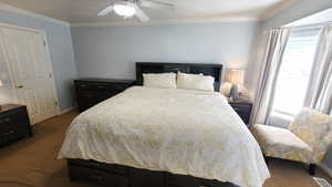 Bedroom featuring carpet floors, multiple windows, crown molding, and baseboards