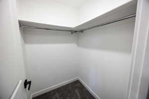 Spacious closet with dark carpet