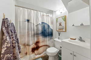 Full bathroom with a textured ceiling, vanity, toilet, and a shower with curtain