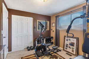 Workout room featuring carpet flooring