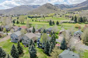 Aerial perspective of suburban area with a mountainous background