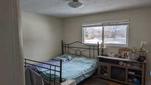 Bedroom with a textured ceiling