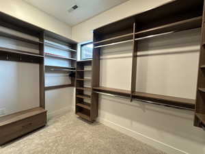 View of walk in closet