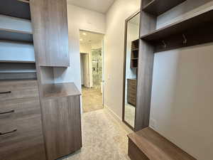 Spacious closet featuring light carpet