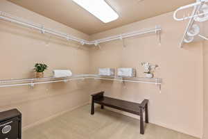 Spacious closet featuring carpet flooring