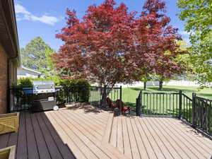 Wooden terrace with a yard and area for grilling