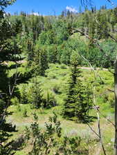 View of woods