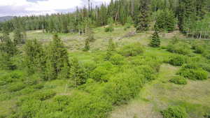 Aerial view of a heavily wooded area