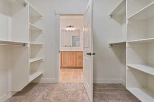 Spacious closet with light colored carpet