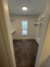 Walk in closet with dark colored carpet