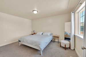 Bedroom featuring multiple windows, carpet, a textured ceiling, and baseboards