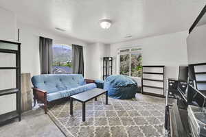 Carpeted living area featuring plenty of natural light and a textured ceiling