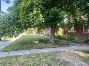 View of green lawn