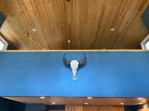 Detailed view of wooden ceiling and recessed lighting