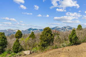 View of mountain background