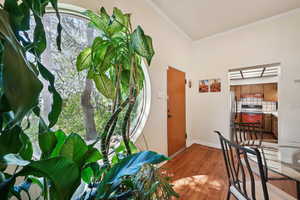 Entrance foyer with crown molding, dark wood finished floors, and baseboards
